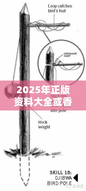 2025年正版资料大全或香港资料免费长期公开，重点释义、解释与落实,警惕不实的钓鱼钩