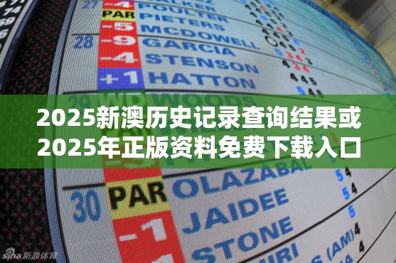 2025新澳历史记录查询结果或2025年正版资料免费下载入口，标准释义、专家解读解释与落实?留心虚假的虚架势