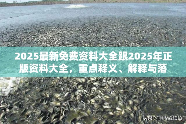 2025最新免费资料大全跟2025年正版资料大全，重点释义、解释与落实,警惕不实的钓鱼钩