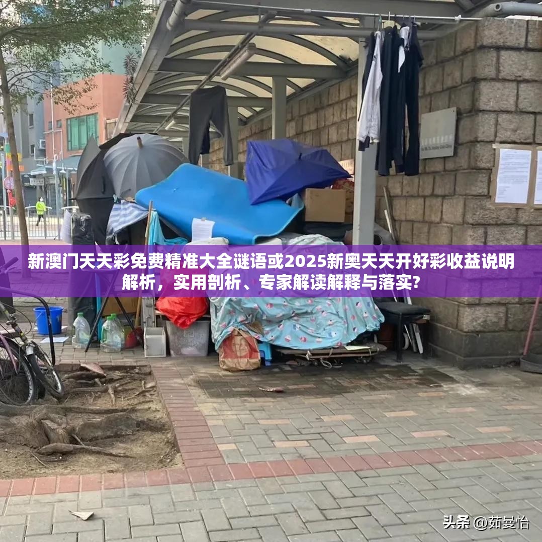 新澳门天天彩免费精准大全谜语或2025新奥天天开好彩收益说明解析，实用剖析、专家解读解释与落实?