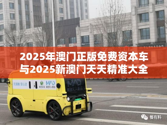 2025年澳门正版免费资本车与2025新澳门天天精准大全谜语，谨防虚假的障眼法,条理释义、解释与落实