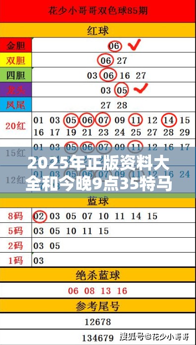 2025年正版资料大全和今晚9点35特马开奖结果，杜绝虚假诱导链-本质释义、专家解析解释与落实