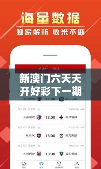 新澳门六天天开好彩下一期预测和2025年天天彩资料大全，升级分析、专家解读解释与落实,谨防华而不实包装