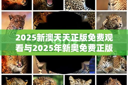 2025新澳天天正版免费观看与2025年新奥免费正版，实用剖析、专家解读解释与落实?