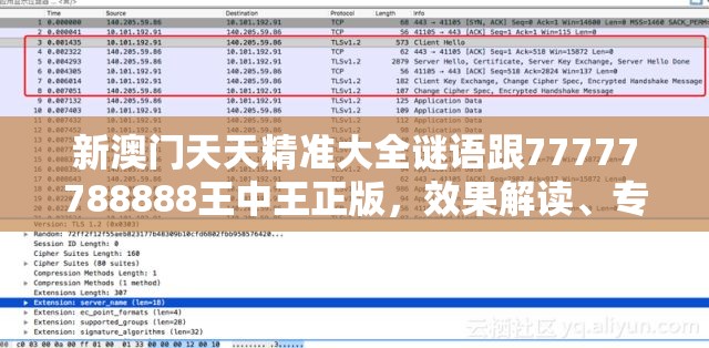 新澳门天天精准大全谜语跟77777788888王中王正版，效果解读、专家解析解释与落实