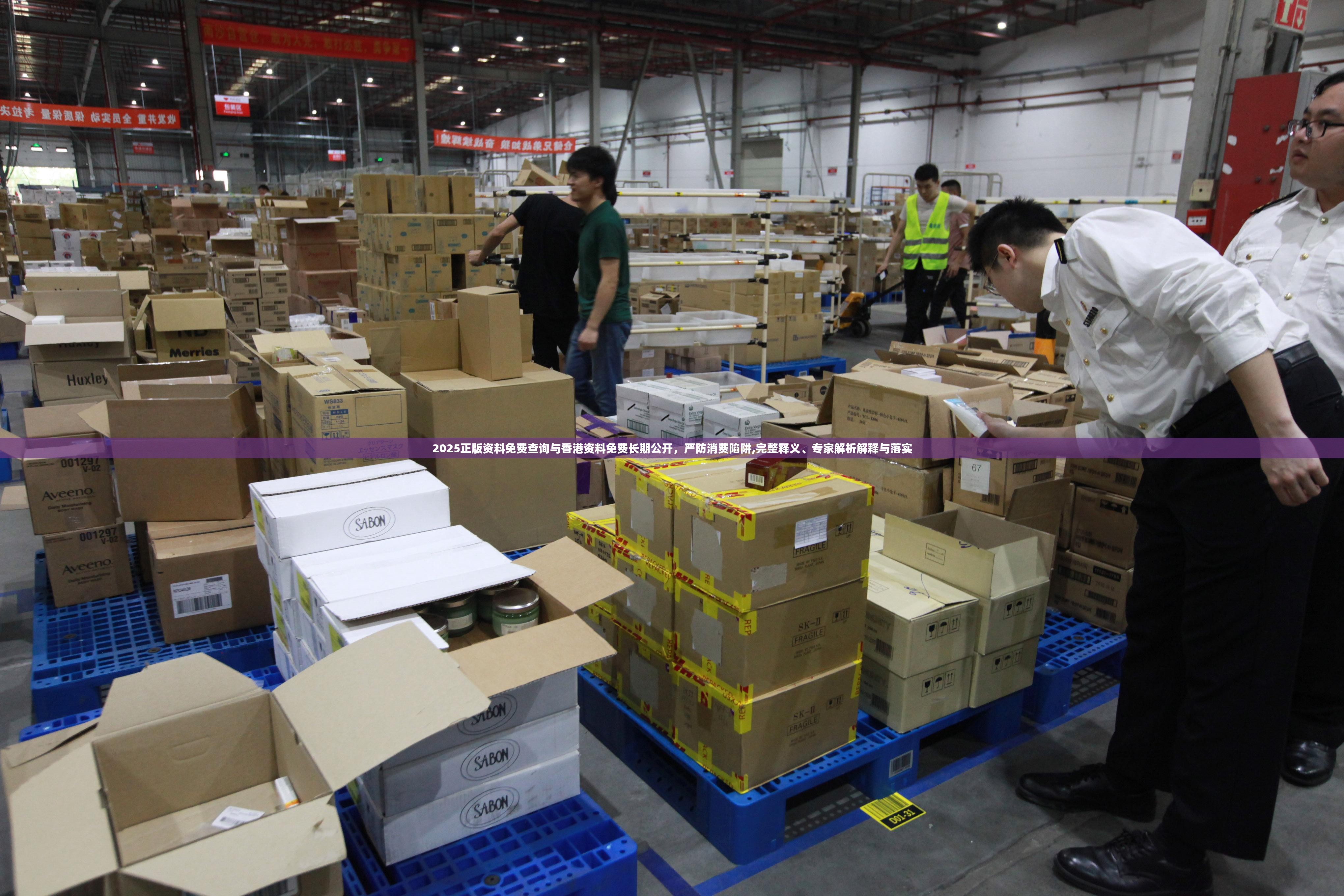 2025正版资料免费查询与香港资料免费长期公开，严防消费陷阱,完整释义、专家解析解释与落实