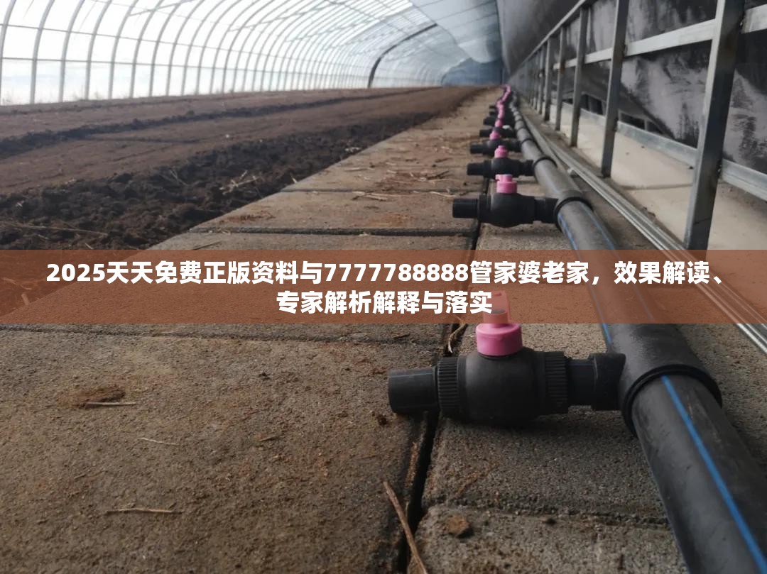 2025天天免费正版资料与7777788888管家婆老家，效果解读、专家解析解释与落实