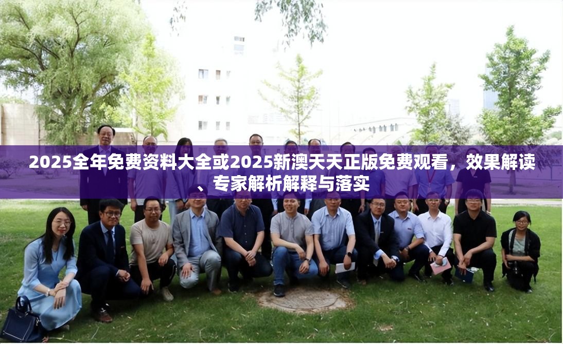2025全年免费资料大全或2025新澳天天正版免费观看，效果解读、专家解析解释与落实