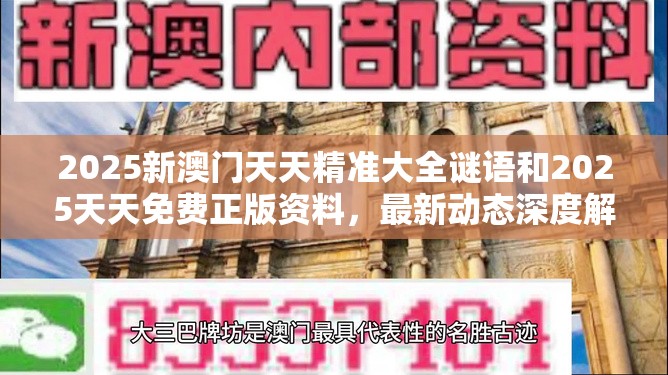 2025新澳门天天精准大全谜语和2025天天免费正版资料，最新动态深度解析与前瞻视频报道