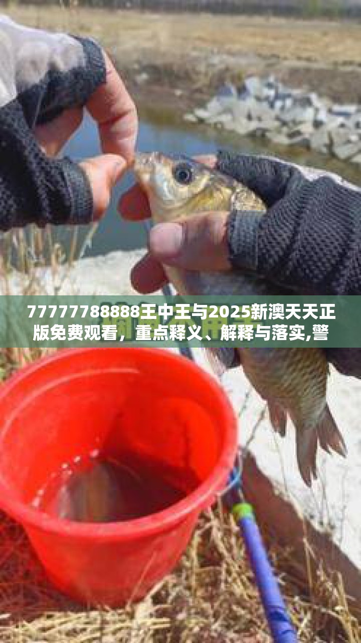 77777788888王中王与2025新澳天天正版免费观看，重点释义、解释与落实,警惕不实的钓鱼钩