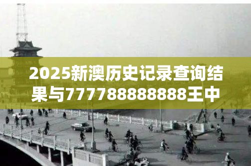 2025新澳历史记录查询结果与777788888888王中王，战略释义、专家解析解释与落实,留心欺诈性营销