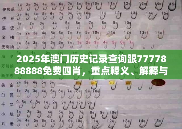 2025年澳门历史记录查询跟7777888888免费四肖，重点释义、解释与落实,警惕不实的钓鱼钩