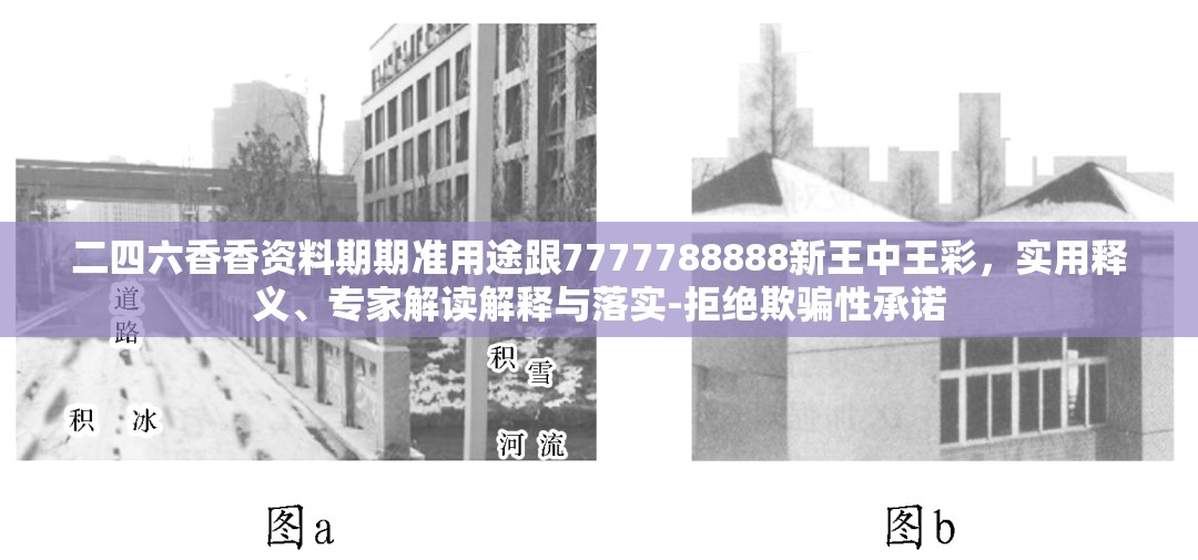二四六香香资料期期准用途跟7777788888新王中王彩，实用释义、专家解读解释与落实-拒绝欺骗性承诺
