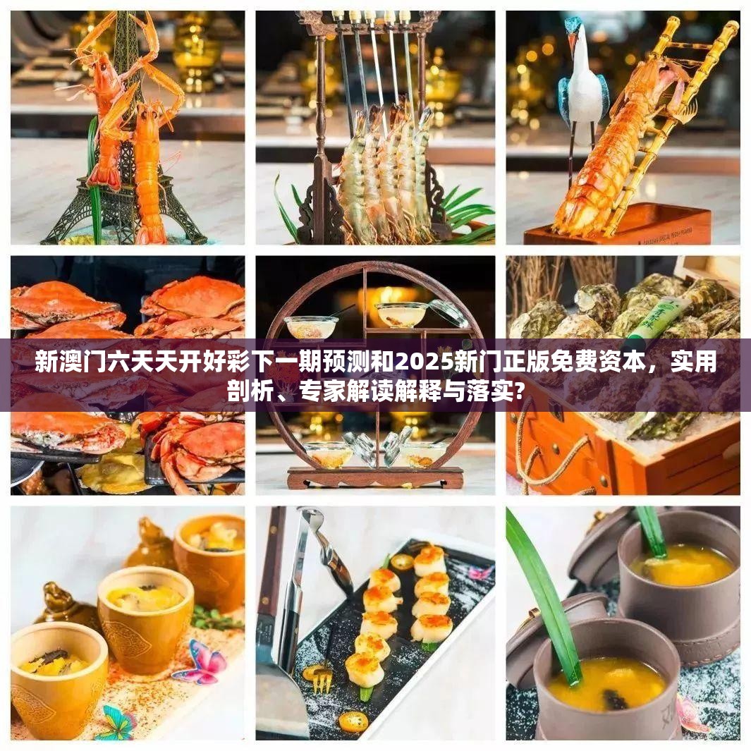 新澳门六天天开好彩下一期预测和2025新门正版免费资本，实用剖析、专家解读解释与落实?