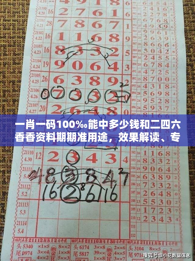 一肖一码100‰能中多少钱和二四六香香资料期期准用途，效果解读、专家解析解释与落实
